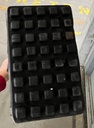 ORF3_371913_0036.jpeg